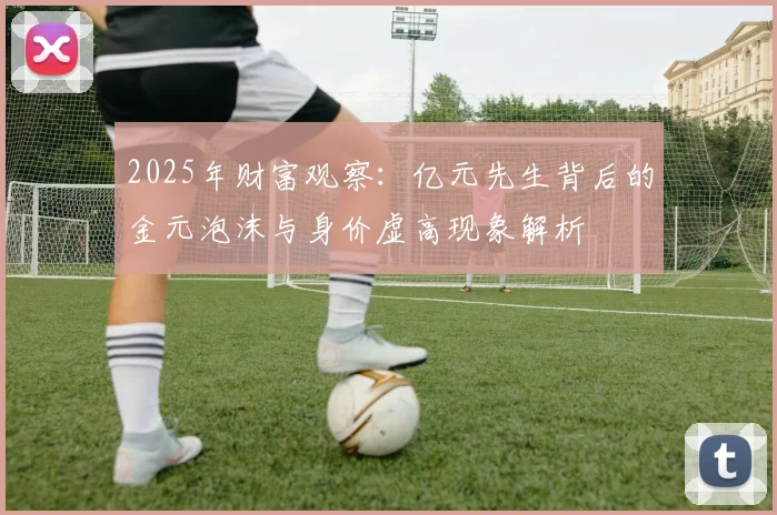 2025年财富观察：亿元先生背后的金元泡沫与身价虚高现象解析